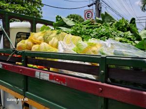 Distribuição de legumes e verduras feita em ação promovida pela Associação Centro Social Fusão